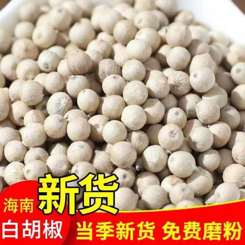 白胡椒无硫海南正品白胡椒质量保证批发零售各种中药材
