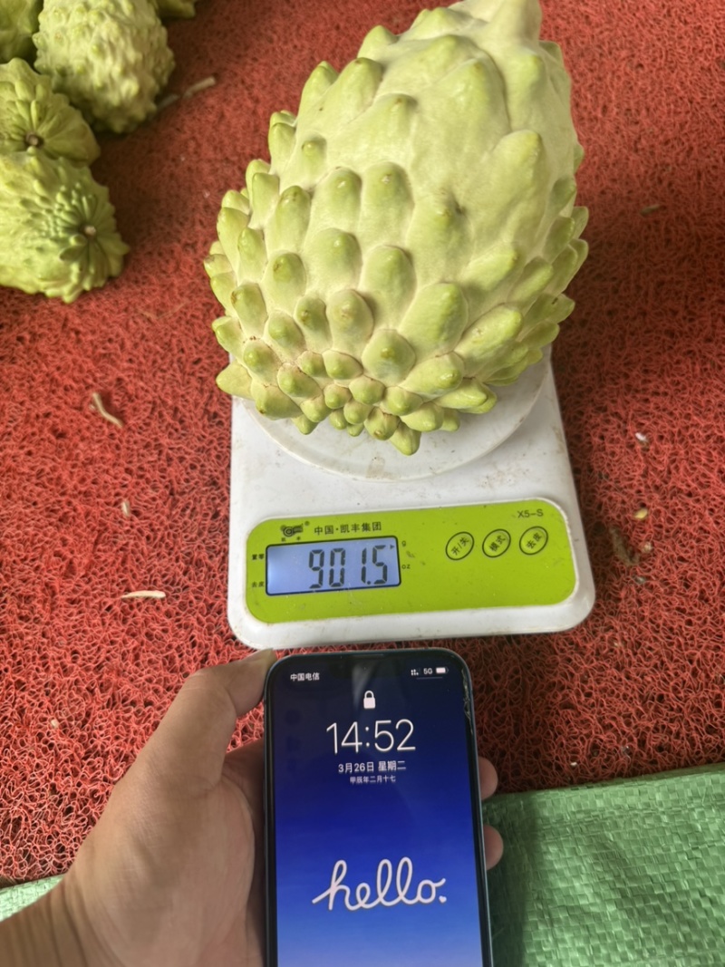 云南释迦果