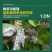 螺虫噻嗪铜蚧壳虫杀虫剂双向内吸传导虫卵双杀