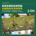 螺虫噻嗪铜蚧壳虫杀虫剂双向内吸传导虫卵双杀