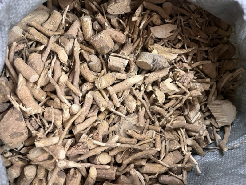 两面针根部阳枝两种规格