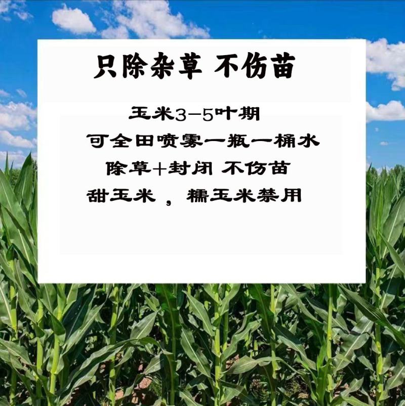 36%硝.烟.莠去津，玉米田专用除草剂，效果好，正规产品