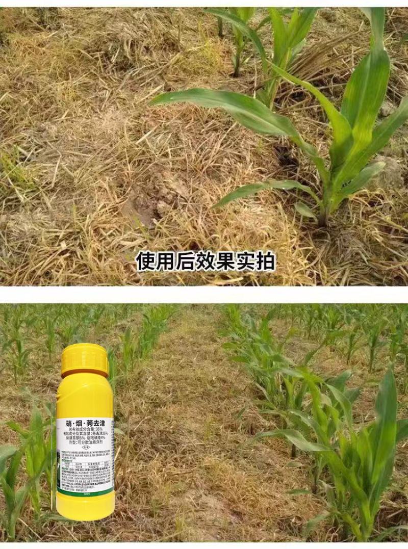 36%硝.烟.莠去津，玉米田专用除草剂，效果好，正规产品