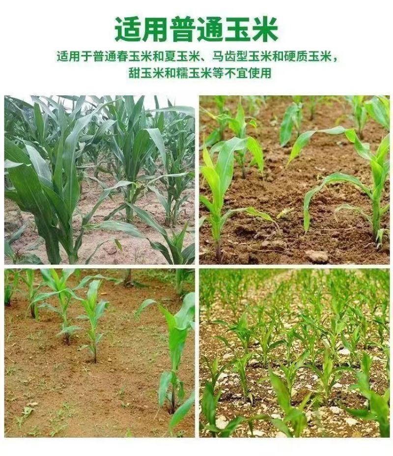 36%硝.烟.莠去津，玉米田专用除草剂，效果好，正规产品