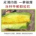 脆甜羊角蜜苗子种苗春天种植苗羊角蜜甜瓜甜新鲜
