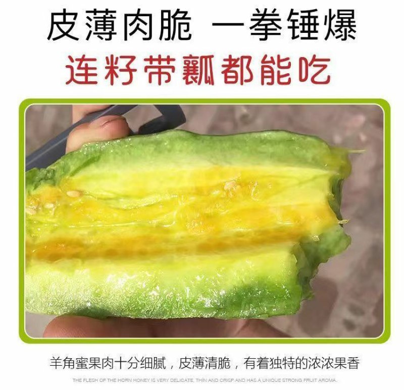 脆甜羊角蜜苗子种苗春天种植苗羊角蜜甜瓜甜新鲜