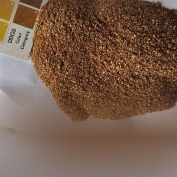 玉米酒糟（DDGS）小龙虾鱼等水产育肥牛羊等饲料原料