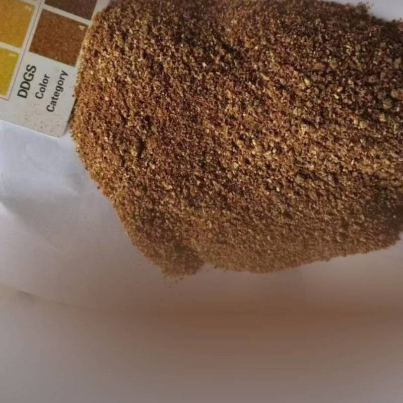 玉米酒糟（DDGS）小龙虾鱼等水产育肥牛羊等饲料原料