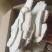 茯苓大别山精品茯苓各种规格批发零售各种中药