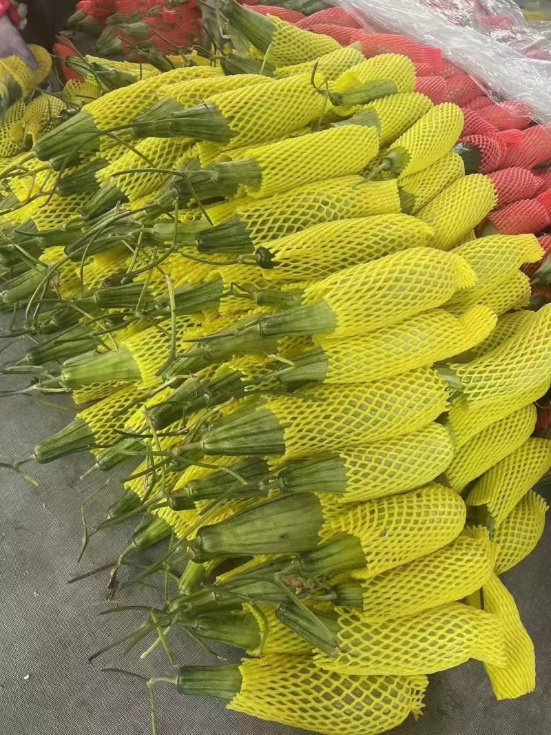 山东精品甜瓜博洋六一羊角蜜大量上市产地直发保质保