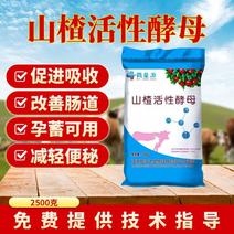 山楂活性酵母粉厂家供应量大从优质量保证欢迎咨询
