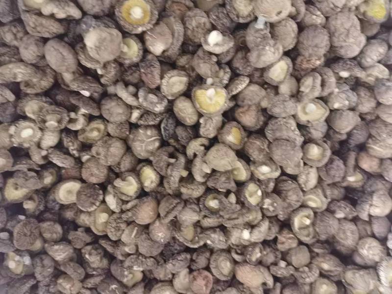 优质干香菇西峡香菇干1.5-肉厚质量好产地货源批发价