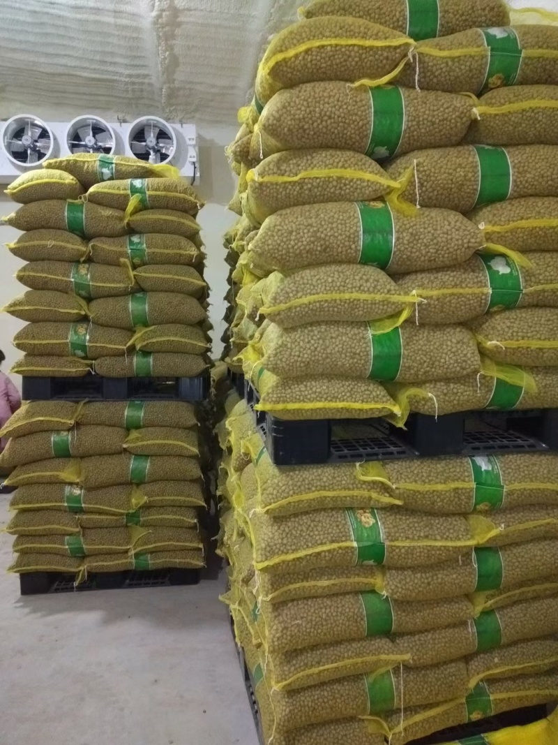 山东山药豆大量上市中产地代发全国各地需要的联系