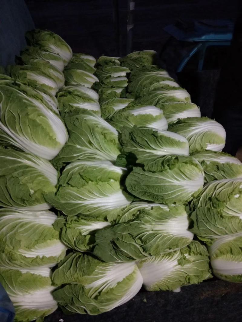 大白菜，黄心大白菜，心实出菜多，货量充足质量好。