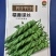 全螺旋螺丝椒种子。适合家用种植
