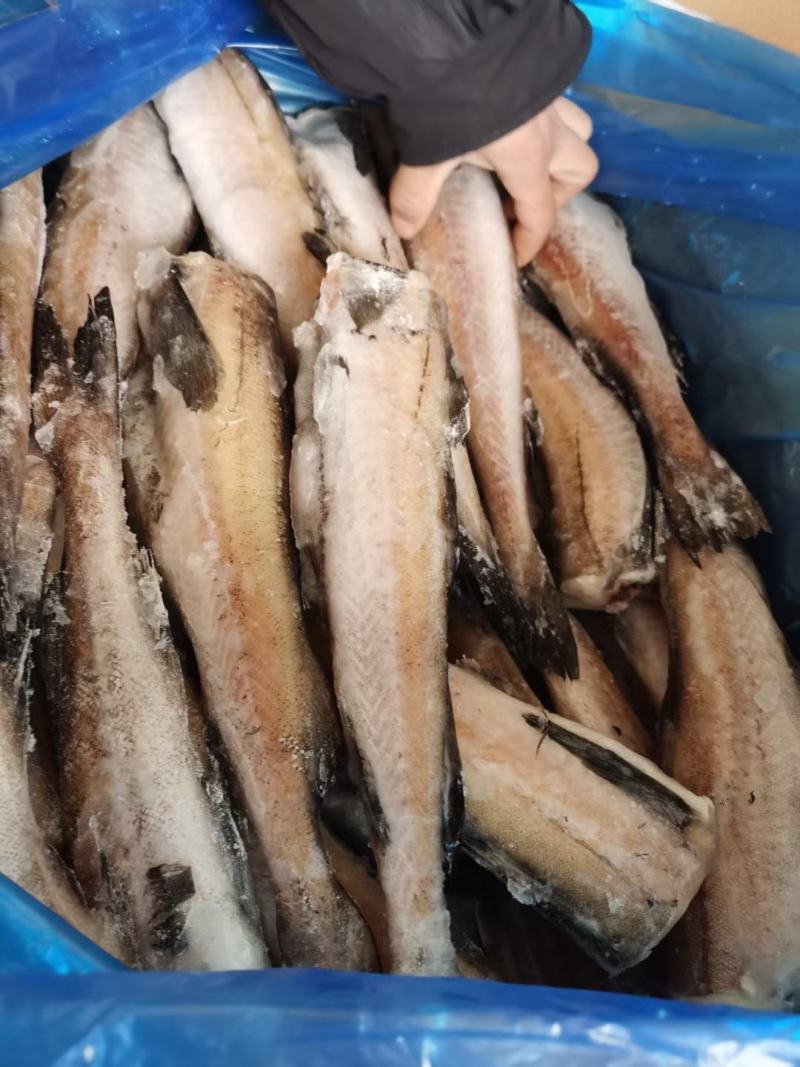 无头鱼深海鳕鱼去头去内脏鳕鱼块明太鱼宝宝辅食海水鱼鳕鱼狭