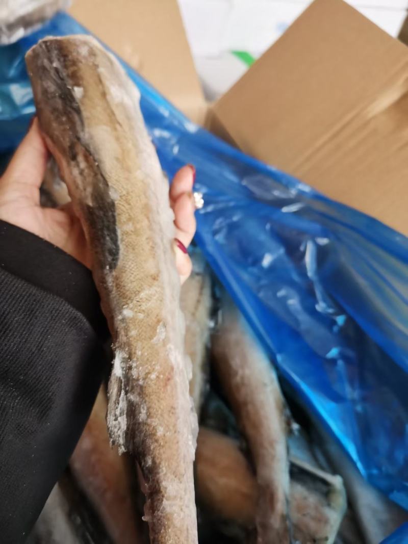 无头鱼深海鳕鱼去头去内脏鳕鱼块明太鱼宝宝辅食海水鱼鳕鱼狭