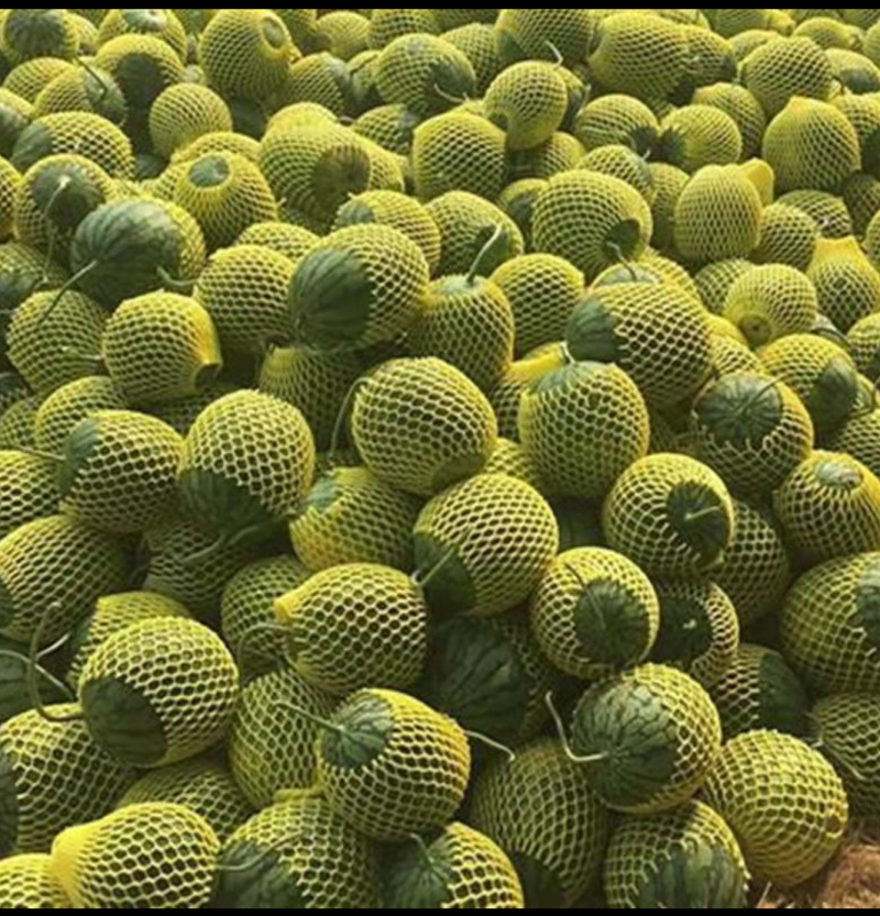 西瓜【精品】特小凤西瓜3斤打底9成熟，诚信经营，量大从优