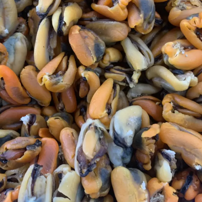 海虹淡菜干各种淡干海虹干大中小品种齐全
