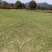 基地马尼拉草皮批发，量大从优耐寒耐热，耐践踏