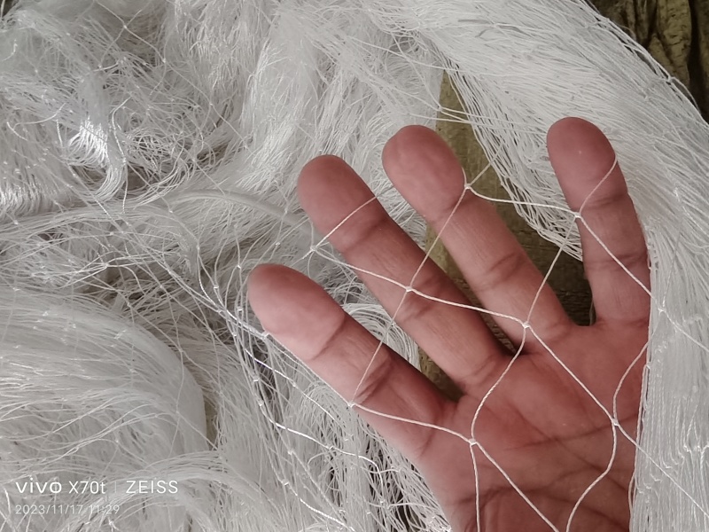 涤纶合股材质大棚通风口防鸟网果园防鸟网专用养殖天网