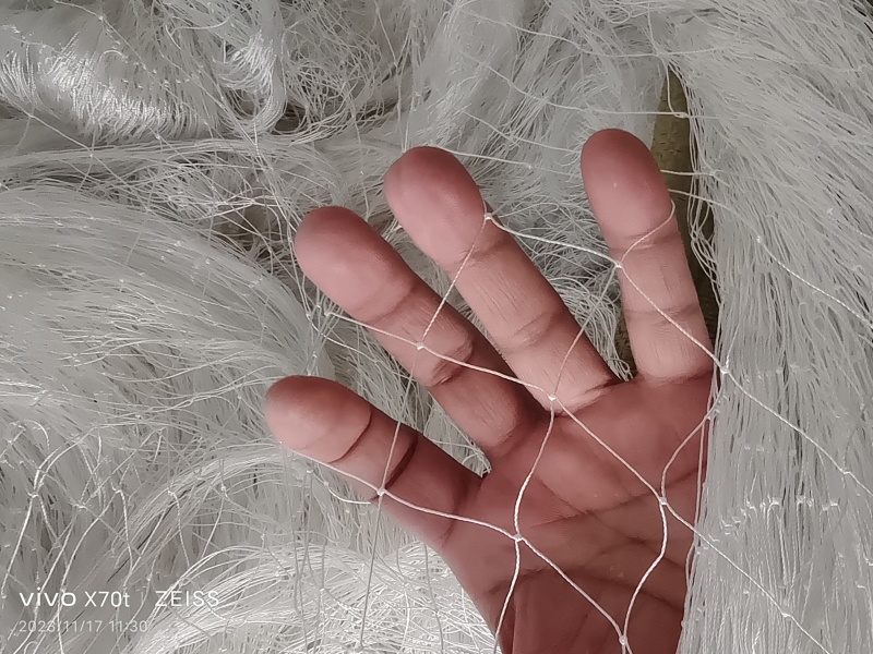 涤纶合股材质大棚通风口防鸟网果园防鸟网专用养殖天网