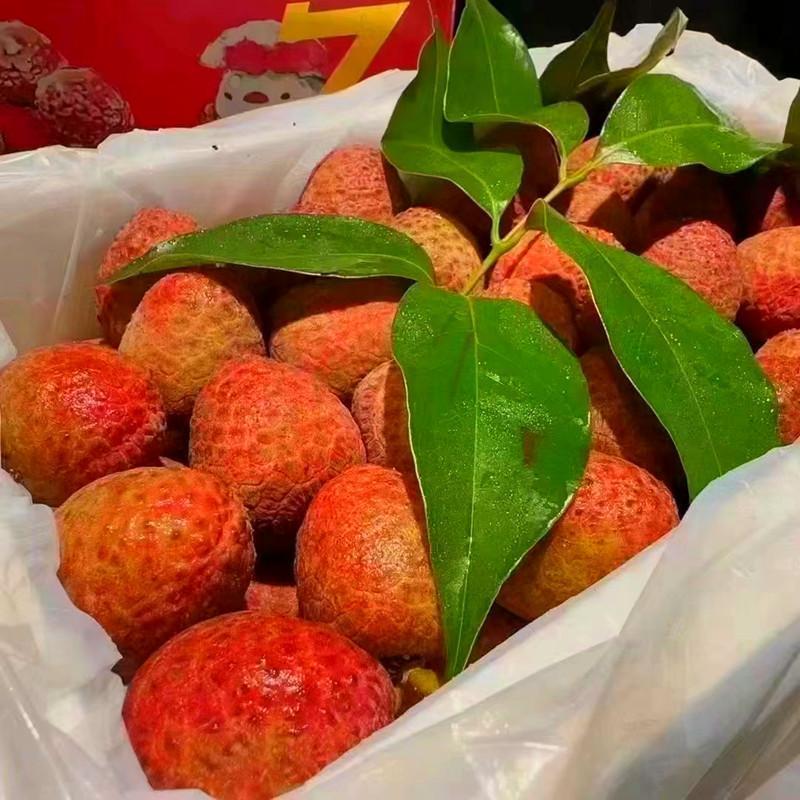 【精选】海南精品桂花香荔枝大量供应现摘现发代发全国