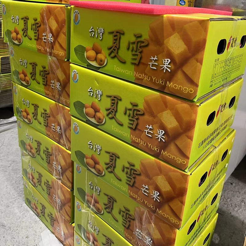 台湾夏雪芒果品种枝条出售芒果中的LV