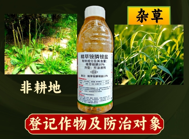 11%精草铵膦铵盐除草剂果园杂草荒地非耕地除草恶性杂草