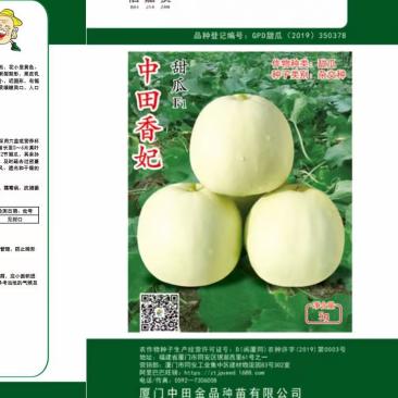中田金品甜瓜种子，5克