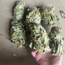 小扎金钱草干度好金钱草金钱草金钱草