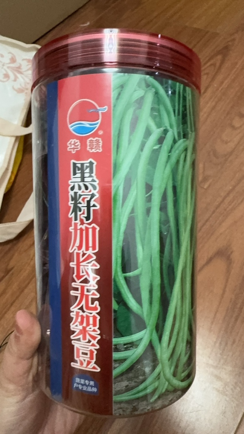 黑籽加长无架豆种子，450克，长70厘米，翠绿肉厚