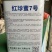 红珍蜜7号西瓜种子，大果单瓜10公斤，糖度13.5