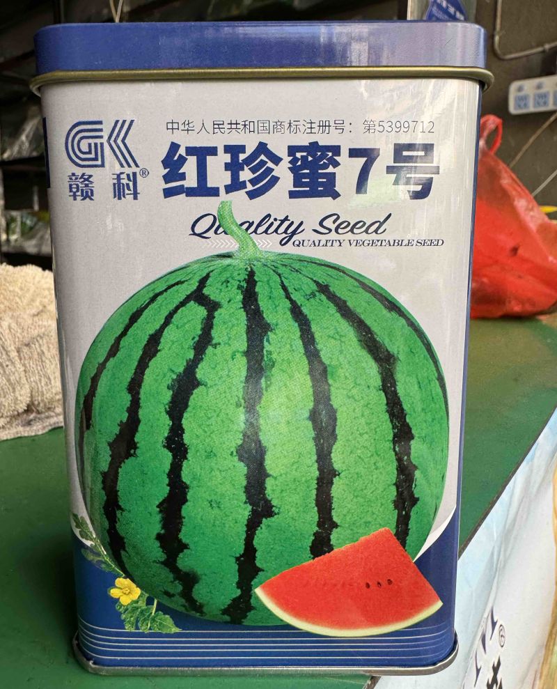 红珍蜜7号西瓜种子，大果单瓜10公斤，糖度13.5