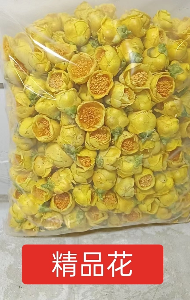 广西金花茶，防城金花茶冻干花，金花茶花，野生金花茶金花茶