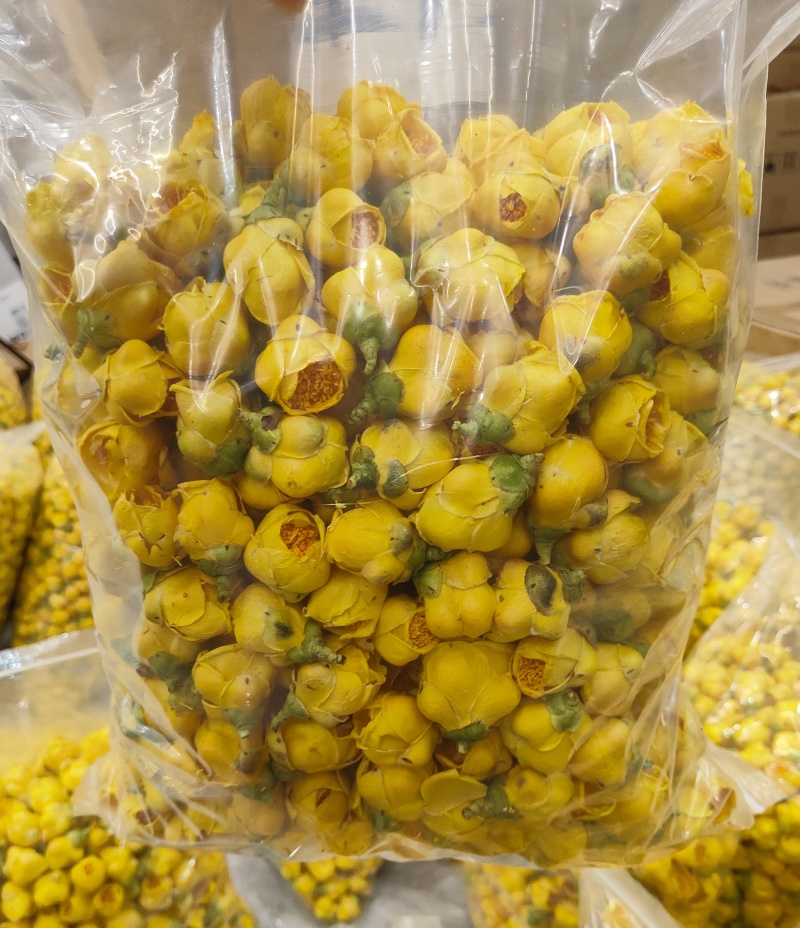 广西金花茶，防城金花茶冻干花，金花茶花，野生金花茶金花茶