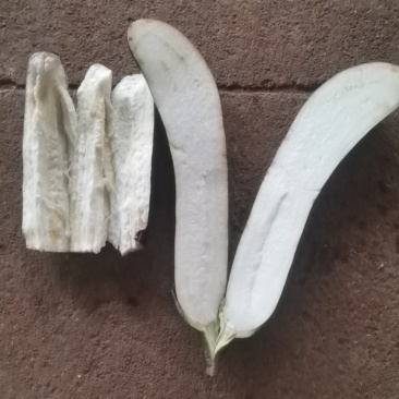 现在有大量茄子上市，店上食堂都可以联系。