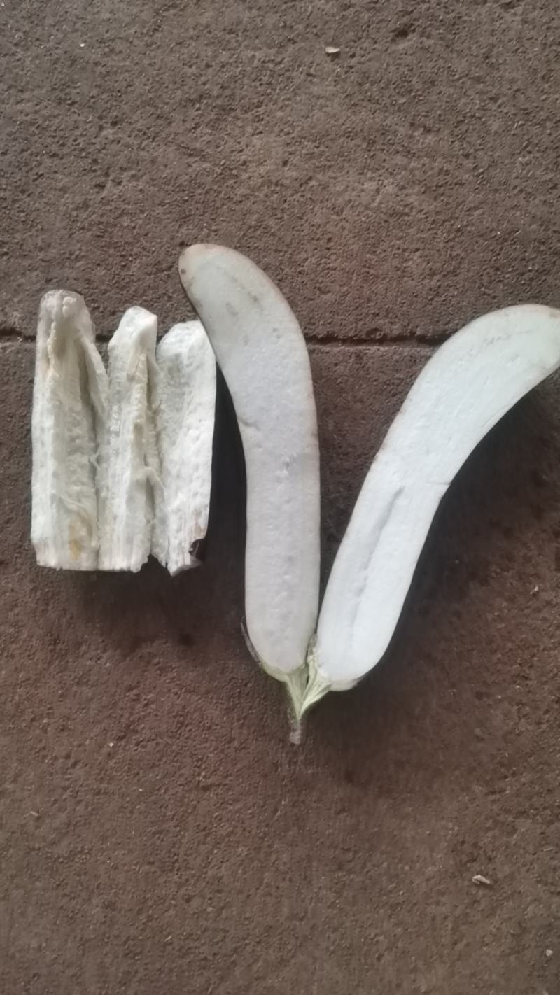 现在有大量茄子上市，店上食堂都可以联系。
