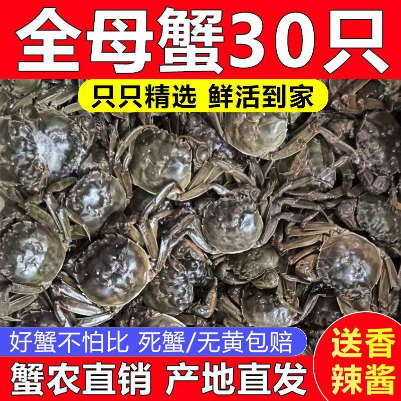 现货小螃蟹活的大闸蟹鲜活全公母一二三元蟹老头蟹香辣蟹河蟹