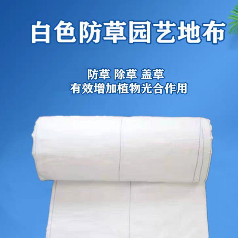 全新料白色反光防草布园艺地布，增光补光温室大棚除草布