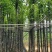 复绿香樟树5～12公分基地直销欢迎来电咨询合作