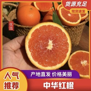 精品橙子中华红橙甜橙果园挂树鲜果产地直销