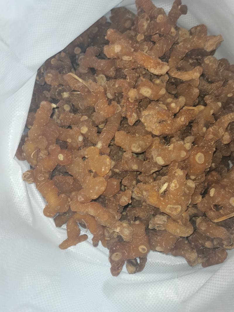 黄精个子姜型多花黄精产地一手货源