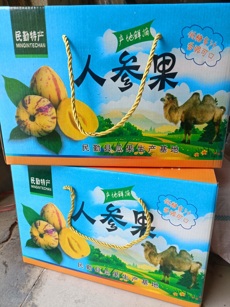 沙地人参果---圆果长果均有，大量有货，支持整车代发等