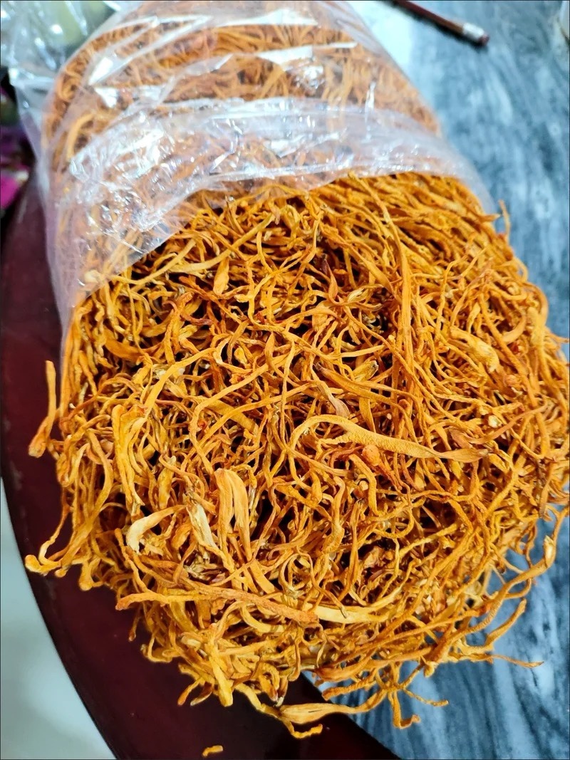 金虫草干货虫草花保庆药业批发虫草药实拍正品