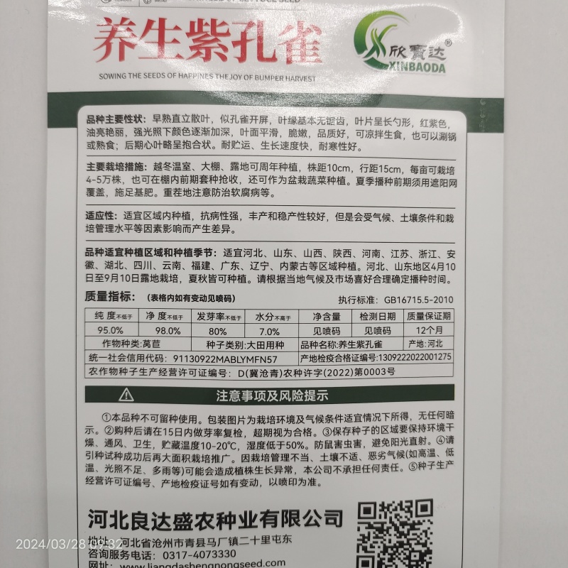 罗马紫孔雀菜种子紫色直立生菜种子紫色孔雀菜四季蔬菜盆栽菜