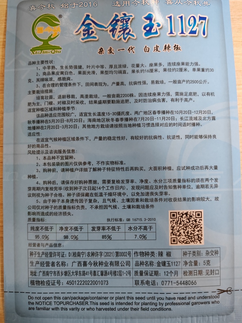 金镶玉1127白皮辣椒中熟大果高产适合鲜食及