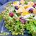 贝利沙拉菜种子紫结球生菜种籽可盆栽紫叶包心脆嫩清香生菜