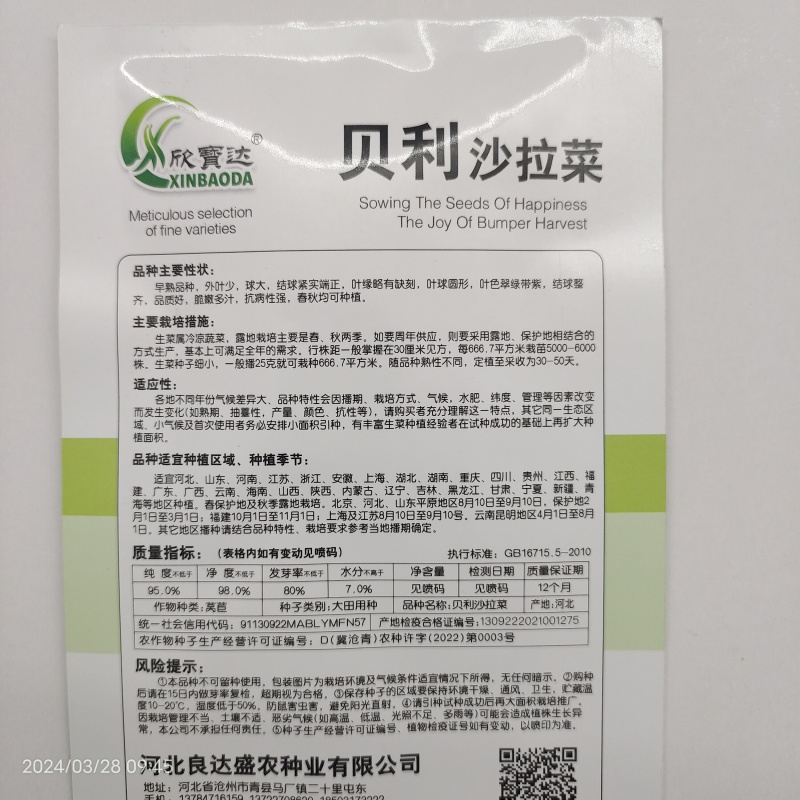 贝利沙拉菜种子紫结球生菜种籽可盆栽紫叶包心脆嫩清香生菜