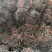 5.8斤，山东晒干盐渍厚海带丝，全长丝。